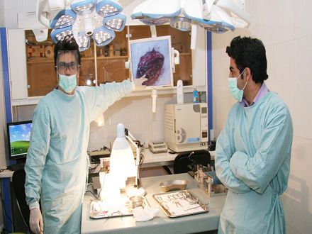 مركز دراسات ايران التكنولوجي لهندسة الجملة العصبية:  لقد وفق الباحثين في مركز دراسات جامعة العلوم و التكنولوجيا الإيرانية لهندسة الجملة العصبية لأول مرة في العالم من إستعادة وظيفة الحركة في الحيوان المشلول و ذلك من خلال السيطرة على الشبكات العصبية في النخاع الشوكي بأستخدام رقاقة المعالج الدقيق و ربطها بالخلايا العصبية للحبل الشوكي . و قد فتحت هذة الطريقة أفقاً جديداً لحل مشكلة الحركة لدى مرضى العمود الفقري .